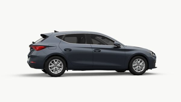 seat leon lateral heyrenting