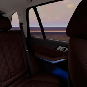 bmw x5 asientos