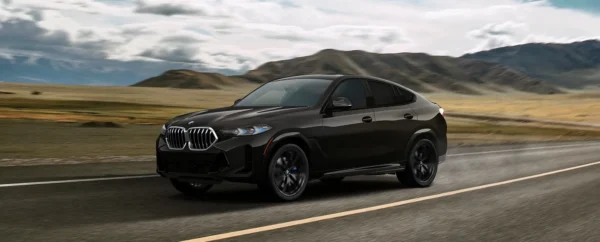 renting bmw x6